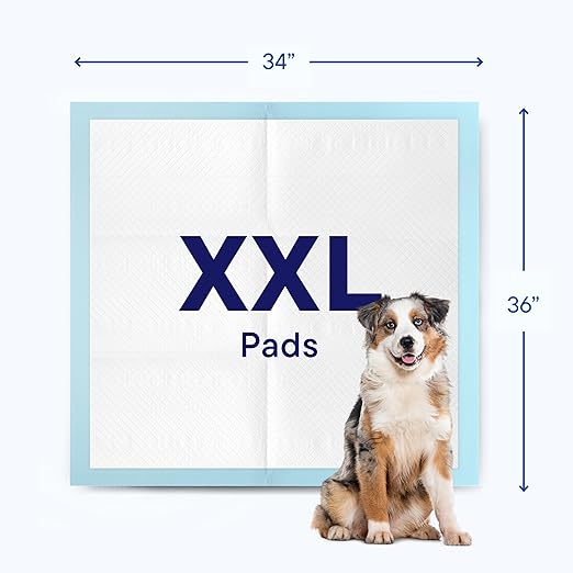 Puppy Pads Pet Pee Pads 28"x30" [200-Count] Pet Training Disposable Pads, Large Breed Pad, Leak-Proof, Bulk Case Pack - for Border Collies, Australian Shepherds, Labs Heavy Duty Surface Protector