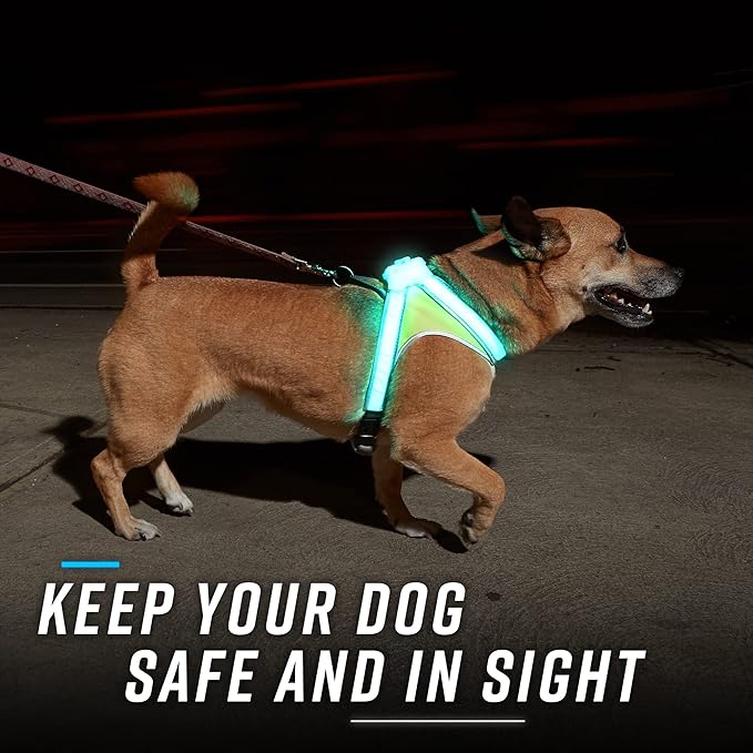 Noxgear LightHound (X-Large) + High-Visibility Dog Leash – Illuminated and Reflective Harness for Dogs Including Multicolored LED Fiber Optics (USB Rechargeable, Adjustable, Lightweight, Rainproof)