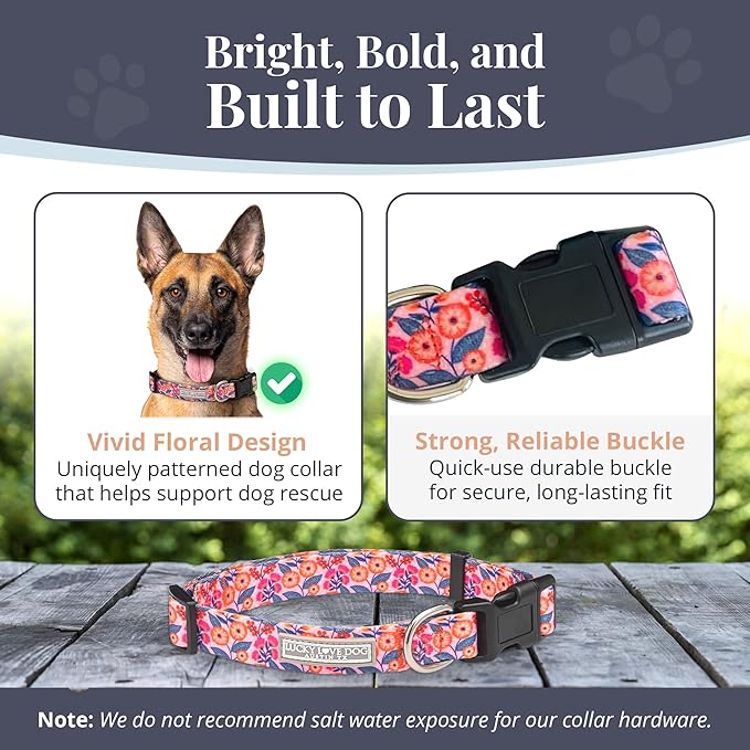 Lucky Love Dog - Adjustable Dog Collar with Easy Click Buckle for Small to Large Ones, Durable, & Comfortable for Male & Female Dogs, Pet Collar for Puppies & Adult Dogs - Rosie, Large