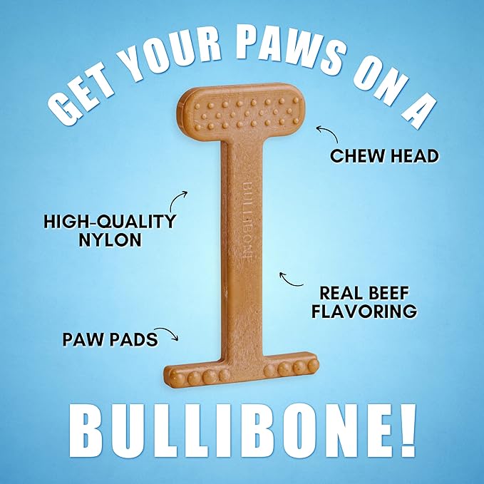 Bullibone Nylon Dog Chew Toy Nylon Bone - Improves Dental Hygiene, Easy to Grip Bottom, and Permeated with Flavor (Beef, Large - 2 Pack)