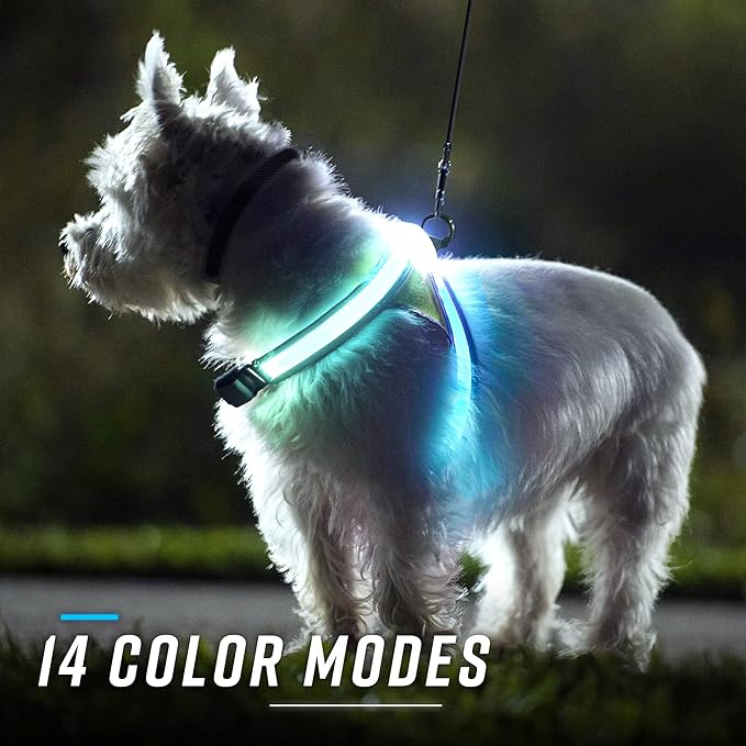 Noxgear LightHound (Medium) + High-Visibility Dog Leash – Illuminated and Reflective Harness for Dogs Including Multicolored LED Fiber Optics (USB Rechargeable, Adjustable, Lightweight, Rainproof)