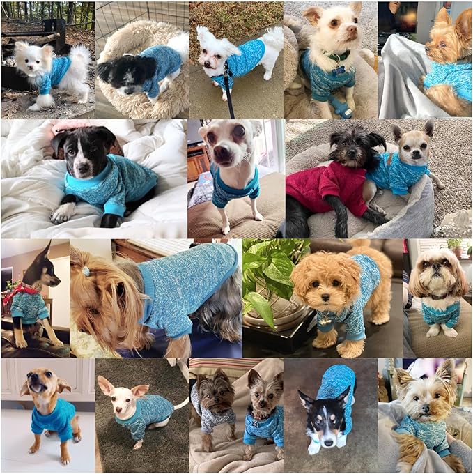 Jecikelon Dog Clothes Dogs Sweater Soft Puppies Clothing Winter Puppy Sweaters Warm Outfit for Dogs Small XXS XS Cat Apparel (Light Blue, S)