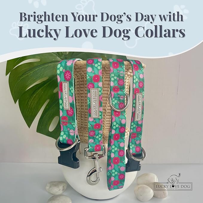 Lucky Love Dog - Adjustable Dog Collar with Easy Click Buckle for Small to Large Dogs, Durable, & Comfortable for Male & Female Dogs, Pet Collar for Puppies & Adult Ones - Penny, Large