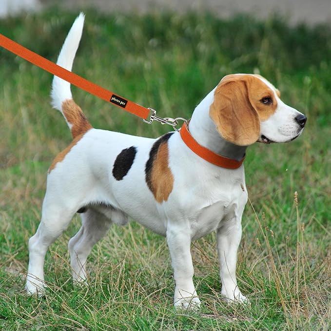 Plutus Pet Cotton Hemp Dog Collar and Leash Set, Adjustable Collar for Small, Medium, and Large Dogs, Heavy Duty and Soft on Skin, Orange, XS
