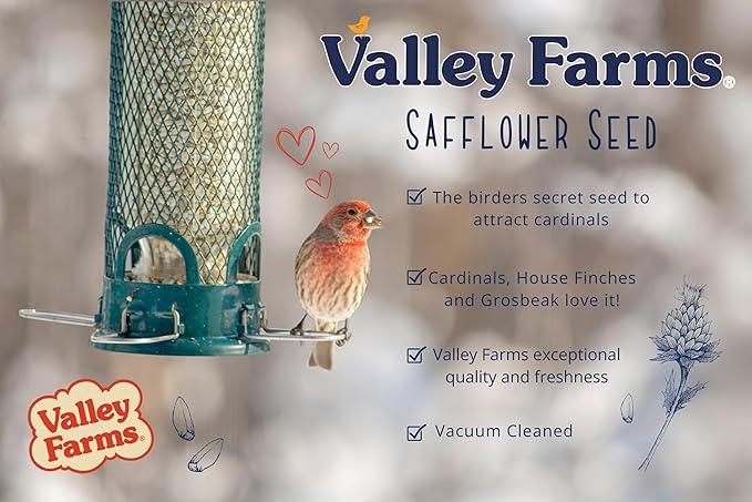 Valley Farms Safflower Seed Wild Bird Food (15 LB) for Outside Feeders, Safflower Bird Seed for Cardinals, Grosebeaks, and Buntings, Cardinal Birdseed for Ourtside Feeders