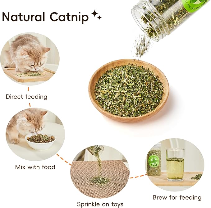 Potaroma Natural Catnip Silvervine Gall Fruit Cat Toys Set with Plush Shell, Organic Kitten Toys for Relaxing and Teething, Interactive Cat Kicker Set (2.2" Dia Tubes)