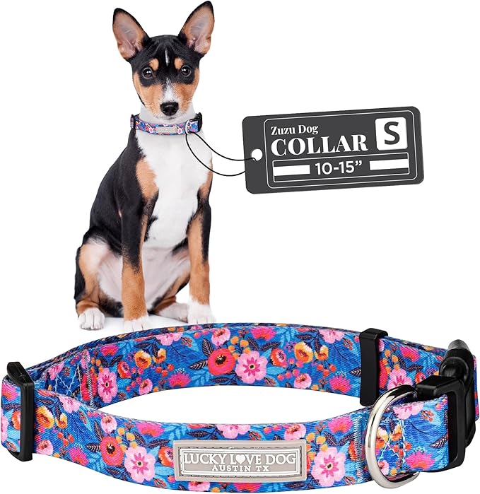 Lucky Love Dog - Adjustable Dog Collar with Easy Click Buckle for Small to Large Dogs, Durable, & Comfortable Collar for Male & Female Dogs, Pet Collar for Puppies & Adult Dogs - Zuzu, Small