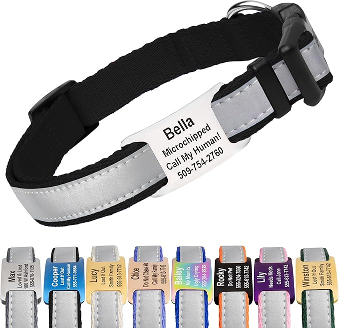 GoTags Reflective Personalized Dog Collar with Nameplate, Adjustable Dog Collar with Custom Engraved Steel Slide On Pet ID Tag, Silent, No Noise Dog Tag for Large Medium or Small (Black, Large)