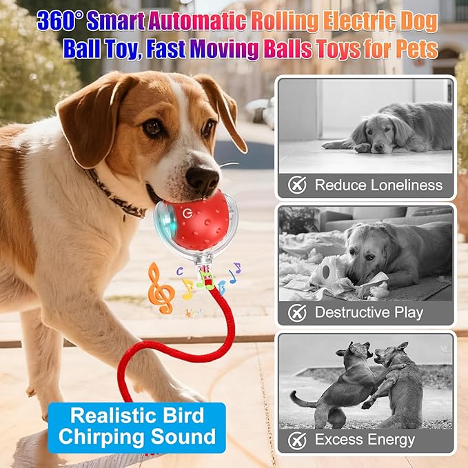 Tiny Fetch Dog Toy, Tinyfetch Interactive Dog Cat Toys Balls with Birdsong, 360° Smart Automatic Rolling Dog Ball Toy with Rope for Pets Indoor & Outdoor Play (Red)
