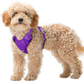 BARKBAY No Pull Dog Harness Large Reflective Dog Harness with Front Clip and Easy Control Handle for Walking Training Running with ID tag Pocket(Purple,XS)