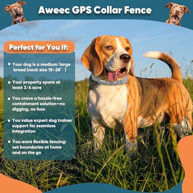 GPS Wireless Dog Fence with Free App, Electric Fence System with Training Collar, Portable Fence for Outdoor Use, Rechargeable Waterproof Flexiable Collar, Adjustable for Large Medium Dogs