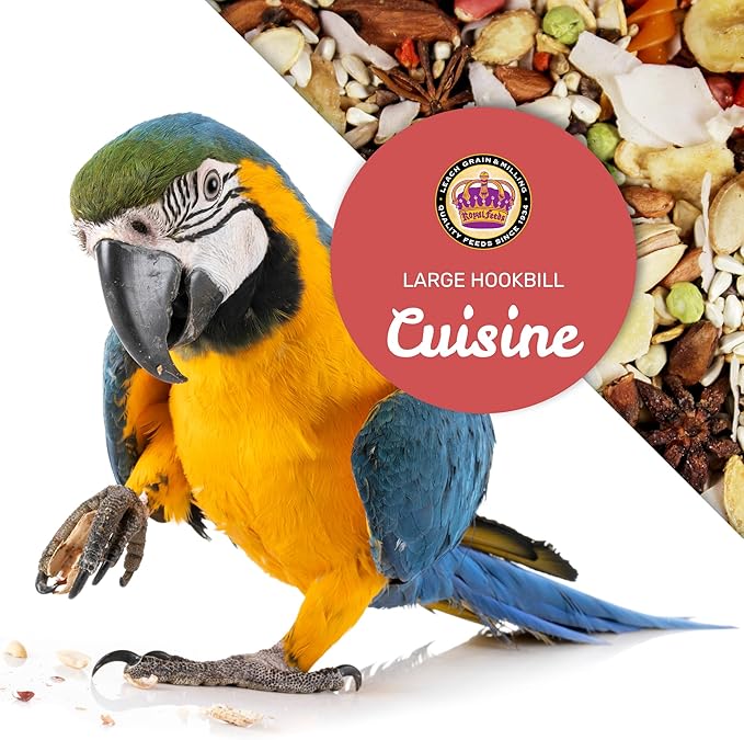 Large Hookbill Cuisine 4 Lbs, Premium Blend Bird Seed for Large Parrots, Cockatoos & Macaws, Parrot Bird Food with Mixed Fruits and Vegetables, Supports Brain, Growth, and Healthy Balanced Diet