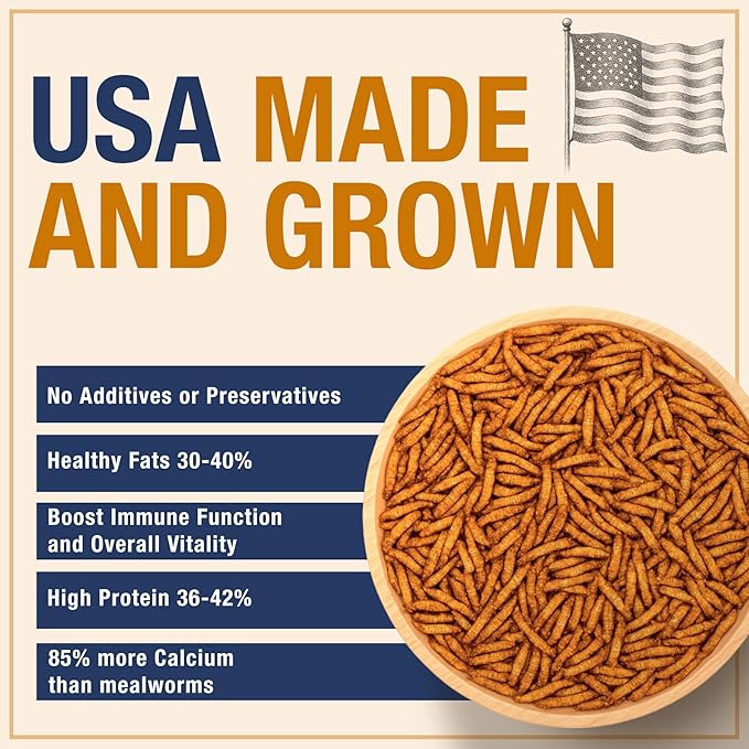 USA Grown Black Soldier Fly Larvae for Chickens - 100% Natural Dried Worms, Grubs & Mealworms with 85X More Protein Chicken Treats for Laying Hens - Birds Feed Supplement for Ducks & Reptiles