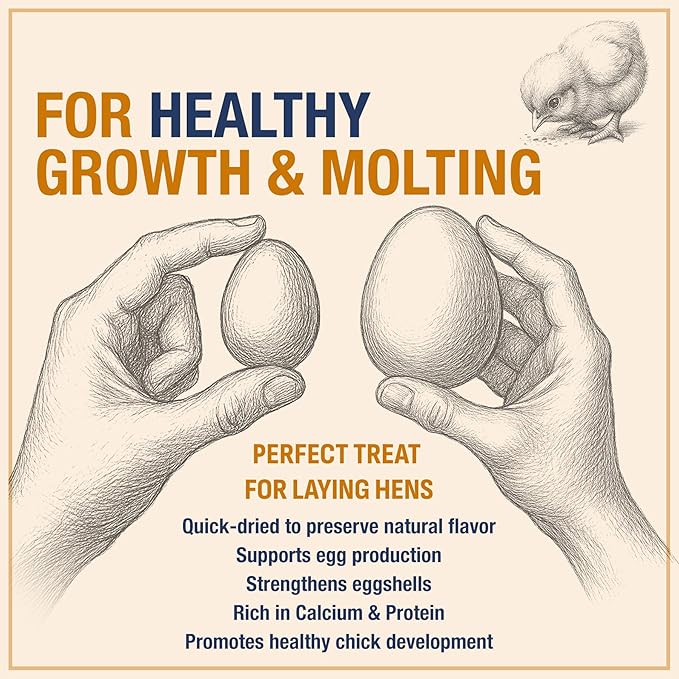 USA Grown Black Soldier Fly Larvae for Chickens - 100% Natural Dried Worms, Grubs & Mealworms with 85X More Protein Chicken Treats for Laying Hens - Birds Feed Supplement for Ducks & Reptiles