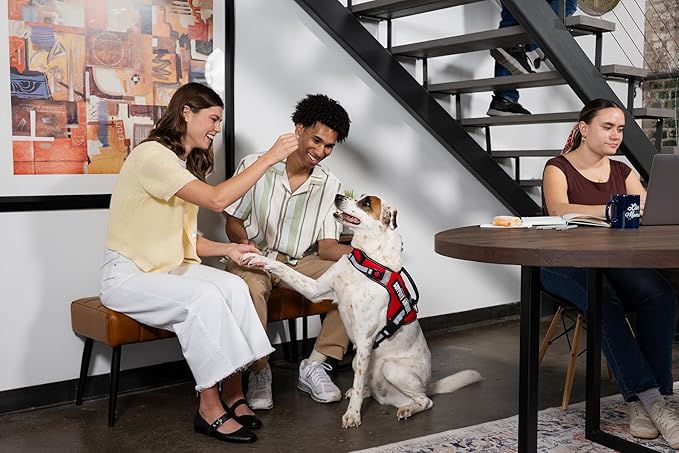 Support Pets The Only Official ESA™ Dog Harness – Adjustable No-Pull Dog Vest for Easy Pet Recognition with Reflective Straps – Soft, Padded & Comfortable for Training and Daily Use - Large