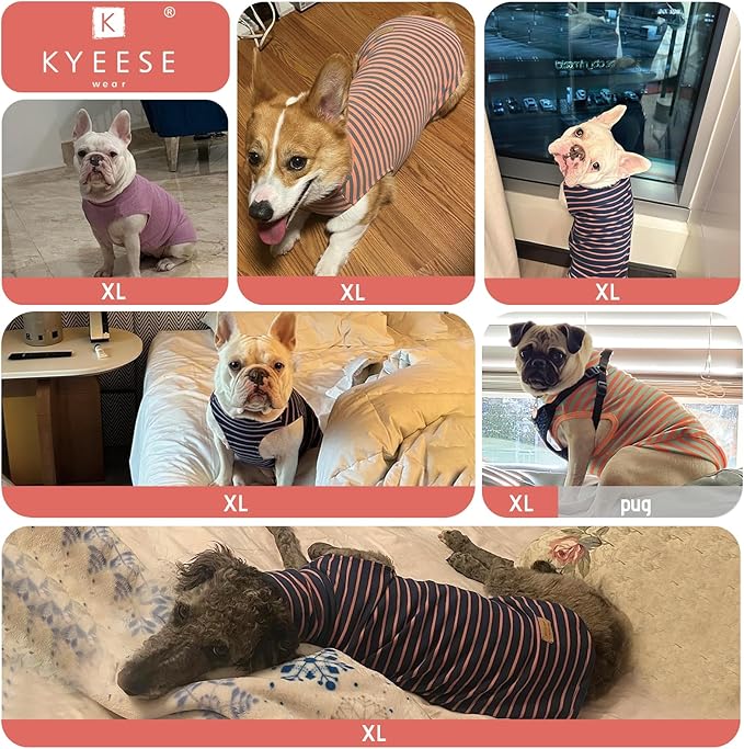 KYEESE 2Pack Dog Sweater Warm Dogs Clothes Turtleneck Dog Sweaters for Medium Dogs Girl Soft Pet Coats Turtleneck Pets Sweatshirt
