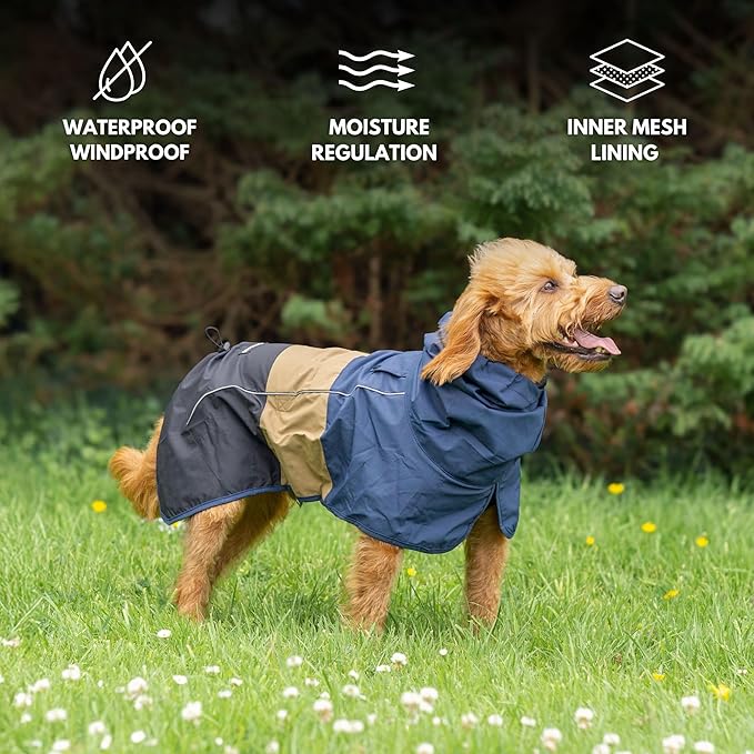 Spark Paws Dog Raincoat, Waterproof Windproof Rain Jacket, for Small Medium Large Extra Large Dogs, Reflective Breathable Full-Body Coverage Dry Suit - Blue Gold Black - S