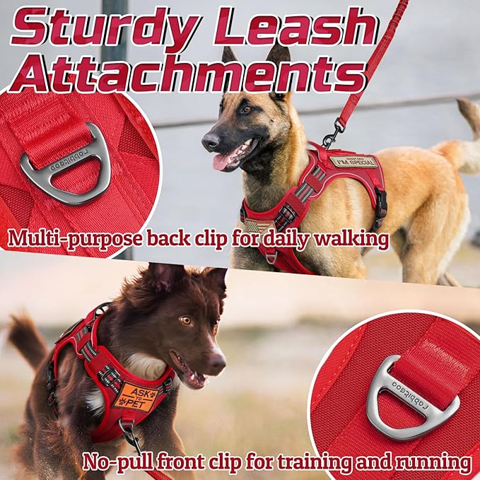 rabbitgoo Tactical Dog Harness for Small Dogs, No Pull Military Service Vest with Handle & Molle, Easy Control for Training Walking, Adjustable Reflective Straps, Red, S