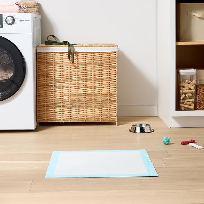 Amazon Basics Dog and Puppy Pee Pads with 5-Layer Leak-Proof Design and Quick-Dry Surface for Potty Training, Standard Absorbency, X-Large, 28 x 34 Inch - Pack of 60, Blue & White