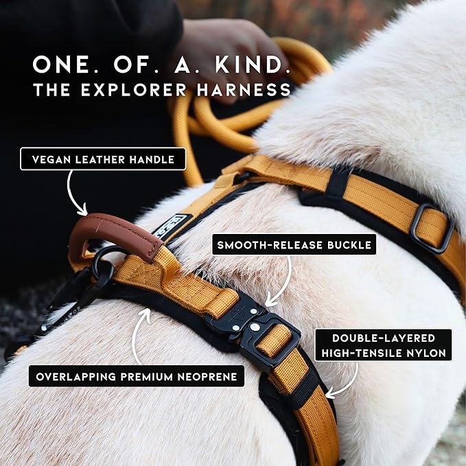 MADE TO ROAM Premium Explorer Harness - Y-Shaped Dog Harness with Adjustable Durable Nylon, Soft Padding, Metal Buckles and Leather Handle for Small, Medium, Large Dogs (Vermont Weekends, Size 3)