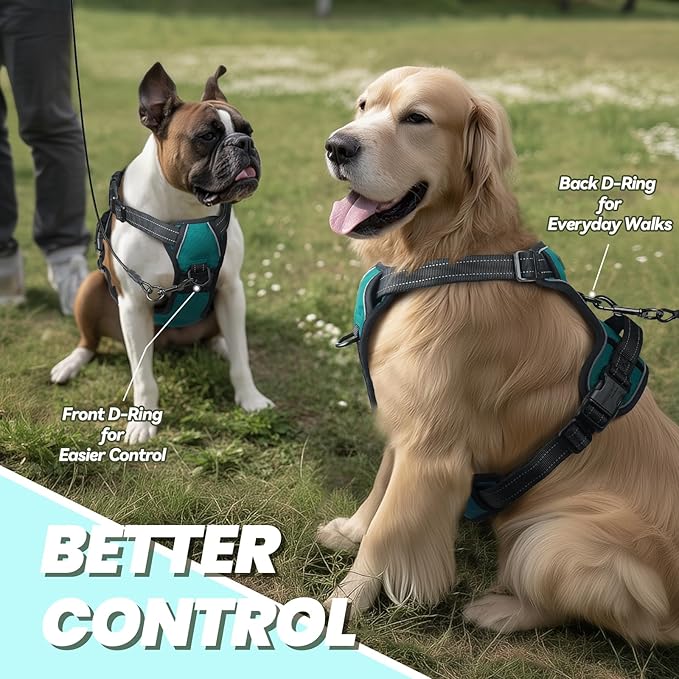 VIVAGLORY Dog Harness Easefit No Pull Dog Harness with Front Clip & Handle for Lifting Training, Adjustable Padded No-Pull Anti Pull Easy On for Puppy & Pet, M, Peacock Green