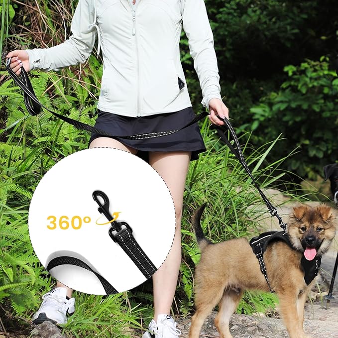 Dog Leash- 6 FT Leashes for Small to Large Dogs, Double Handle Dog Leash, Reflective Walking Training Lead (Dog Leash (Black), 6 FT Dog Leash)