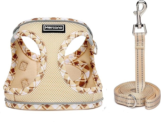 Mercano Soft Mesh Dog Harness and Leash Set, No-Chock Step-in Reflective Breathable Lightweight Easy Walk Vest Harnesses with Safety Buckle for Small Dogs, Cats (Beige, XS)