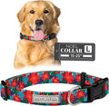 Lucky Love Dog - Adjustable Dog Collar with Easy Click Noel for Small to Large Ones, Durable, & Comfortable for Male & Female Dogs, Pet Collar for Puppies & Adult Dogs - Noel, Large