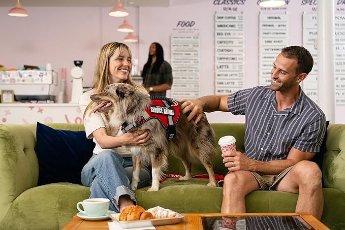 Support Pets The Only Official ESA™ Dog Harness – Adjustable No-Pull Dog Vest for Easy Pet Recognition with Reflective Straps – Soft, Padded & Comfortable for Training and Daily Use - XXSmall