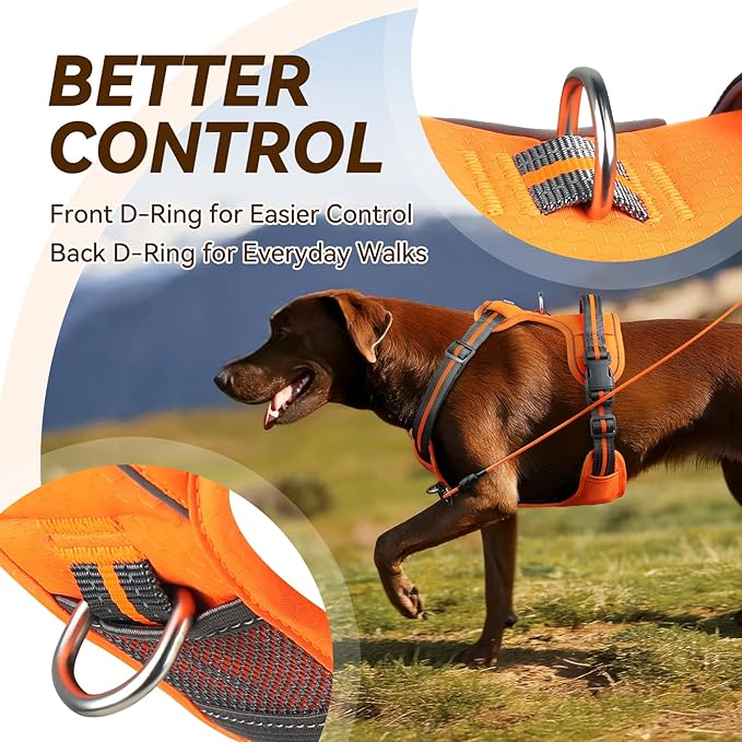 VIVAGLORY Dog Harness Easewalk No Pull Dog Harness with Handle & Front Back Clip for Training Lifting, Easy On Adjustable Padded No Pull for Pet & Puppy, M, Orange