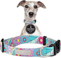 Lucky Love Dog Collars, Vivid Flower Pattern Dog Collars for Medium Female Dogs, Spring & Summer Floral Themed Print, Caroline, Medium