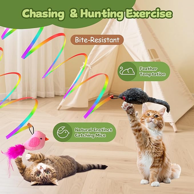 Interactive Cat Toys for Indoor Cats,Electric Flying Bird & Mouse Wand Teaser, Automatic Hanging Door Frame Chase/Hunt/Exercise Stimulate Feather Cat Toy for Bored Indoor Adult & Kitten