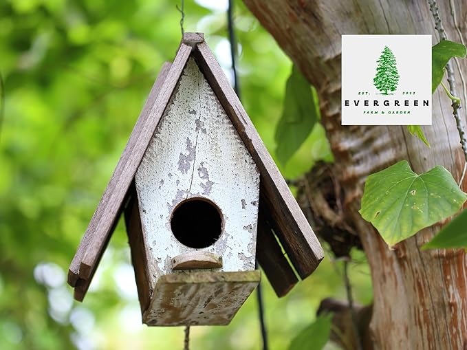 Birdseed Cylinders with Hole - Bird Seed for Outside Wild Birds (Small Cylinder, Bandit Buster 1pc)