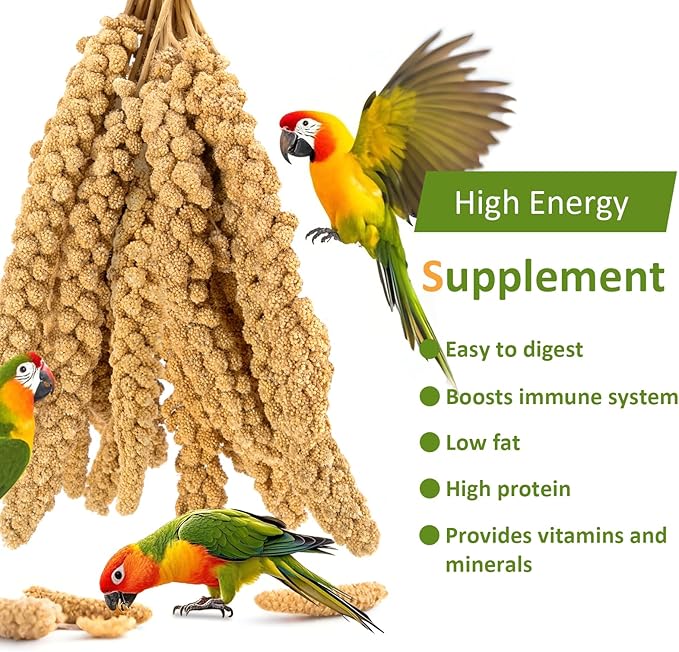 Spray Millet for Birds 5LB - All Natural Sun-Dried Healthy Treat, Millet Spray for Parakeets, Parrots, Lovebirds, Cockatiels Food, 100% Non-GMO High Protein Fresh Bird Seed
