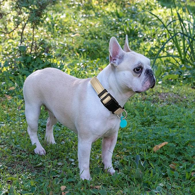 Reflective Dog Collar Padded with Soft Neoprene Breathable Adjustable Nylon Dog Collars for Small Medium Large Dogs (Small (Pack of 1), Vanilla Collar+Leash)