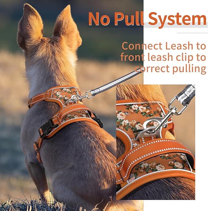 HEELE Dog Harness, No Pull Adjustable Padded Reflective Harness for Small Medium Large Dogs with Handle for Walking Training, Flower-Orange,XL