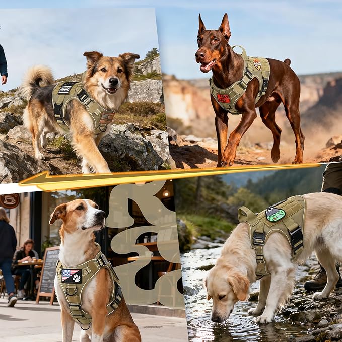 rabbitgoo Tactical Dog Harness Small Sized, No Pull Upgraded Reflective Heavy Duty Molle Vest with Handle, Adjustable Military Service Dog Vest for Walking Hiking Training, Brown, S