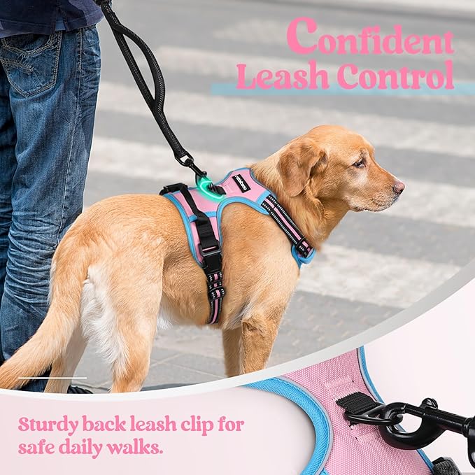 rabbitgoo Dog Harness No Pull with 2 Leash Clips, Adjustable Soft Padded, Reflective Oxford No Choke Pet Vest with Easy Control Handle for Medium Sized Dogs, Pink & Blue, M