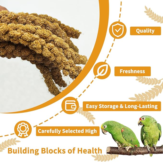 kathson Natural Sun-Dried Birds Millet Spray Millet Treat Bird Snacks for Parrots Cockatiels Lovebirds Painted Buntings and Finches Parakeets 4.4 LB