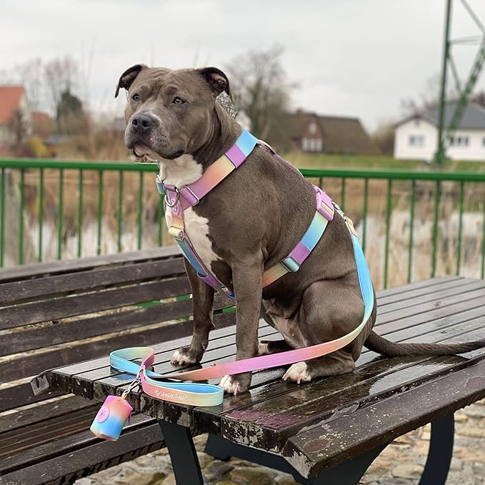Spark Paws No Pull Dog Harness for Large Dogs, Heavy Duty Dog Harness for Big Strong Breeds, Adjustable, Y Shaped Padded Halter Design with Front Clip - Pastel Icing - M