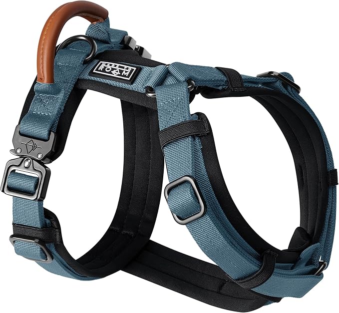 MADE TO ROAM Premium Explorer Harness - Y-Shaped Dog Harness with Adjustable Durable Nylon, Soft Padding, Metal Buckles and Leather Handle for Small, Medium, Large Dogs (California Horizon, Size 1)