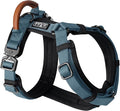 MADE TO ROAM Premium Explorer Harness - Y-Shaped Dog Harness with Adjustable Durable Nylon, Soft Padding, Metal Buckles and Leather Handle for Small, Medium, Large Dogs (California Horizon, Size 6)