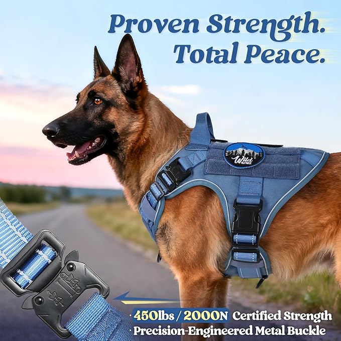 rabbitgoo Tactical Dog Harness for Large Dogs, No Pull Upgraded Reflective Heavy Duty Molle Vest with Handle, Adjustable Military Service Dog Vest for Walking Hiking Training, Blue, XL