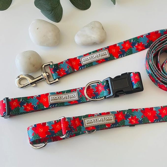 Lucky Love Dog - Adjustable Dog Collar with Easy Click Noel for Small to Large Ones, Durable, & Comfortable for Male & Female Dogs, Pet Collar for Puppies & Adult Dogs - Noel, Small