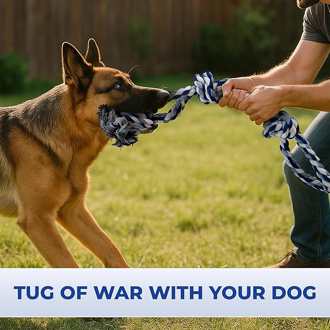 Pup Quartet Dog Rope Toy for Aggressive Chewers 2-Pack Tug of War Dog Toy with Thick Knots Heavy Duty Rop Toys for Dogs – Indestructible Rope Chew Toys for Medium & Large Dogs