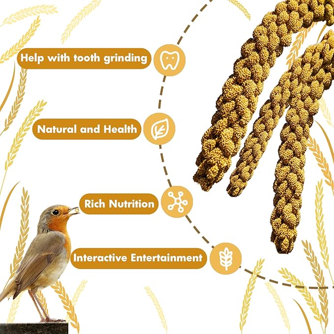 Jmxu's Spray Millet Treat for Birds Parakeets, Natural Sun-Dried Birds Millet for Cockatiel, Budgie, Finches, Parrots, Hamster