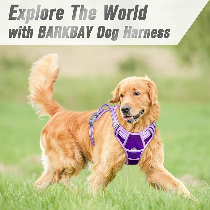 BARKBAY No Pull Dog Harness Front Clip Heavy Duty Reflective Easy Control Handle for Large Dog Walking(Violet Purple & Purple,L)