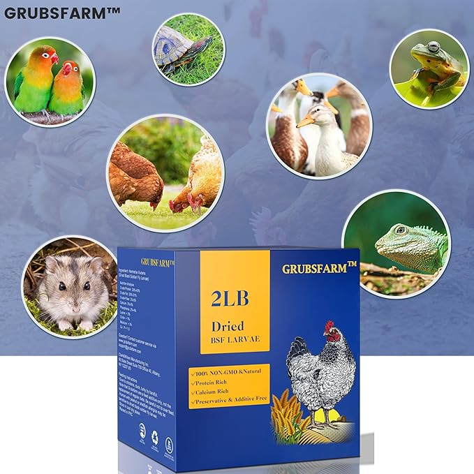Premium Chicken Treats 2LBS - Superior to Dried Mealworms - Non-GMO & 85X More Calcium Than Meal Worms - Molting & Laying Supplement - BSF Larvae Treats for Layer Hens, Ducks Wild Birds