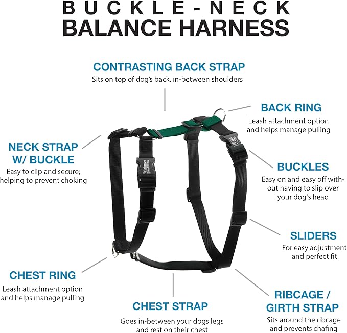 Blue-9 Buckle-Neck Balance Harness, Fully Customizable Fit No-Pull Harness, Ideal for Dog Training and Obedience, Made in The USA, Hunter Green, Large