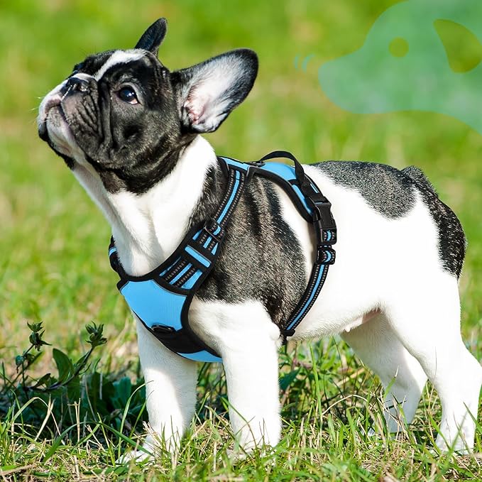 Eagloo Dog Harness Small Sized Dog, No Pull Service Vest with Reflective Strips and Control Handle, Adjustable and Comfortable for Walking, No Choke Pet Harness with 2 Metal Rings, Sky Blue, S